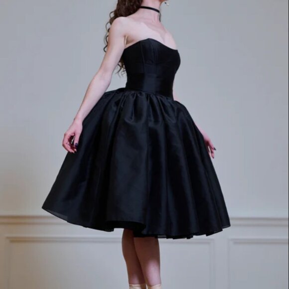 Selkie Black Swan Degas Dress - Strapless Balletcore - Picture 2 of 9
